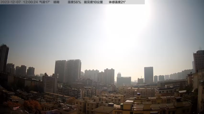 【2023-12-07 12点场】超级小桀：猫咪也需要躲僵尸吗