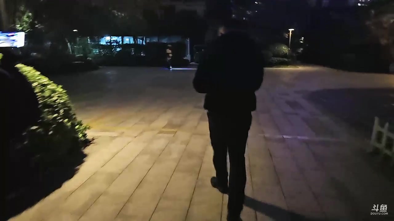 【2023-12-02 20点场】秀才冷男：晚上5点开播～