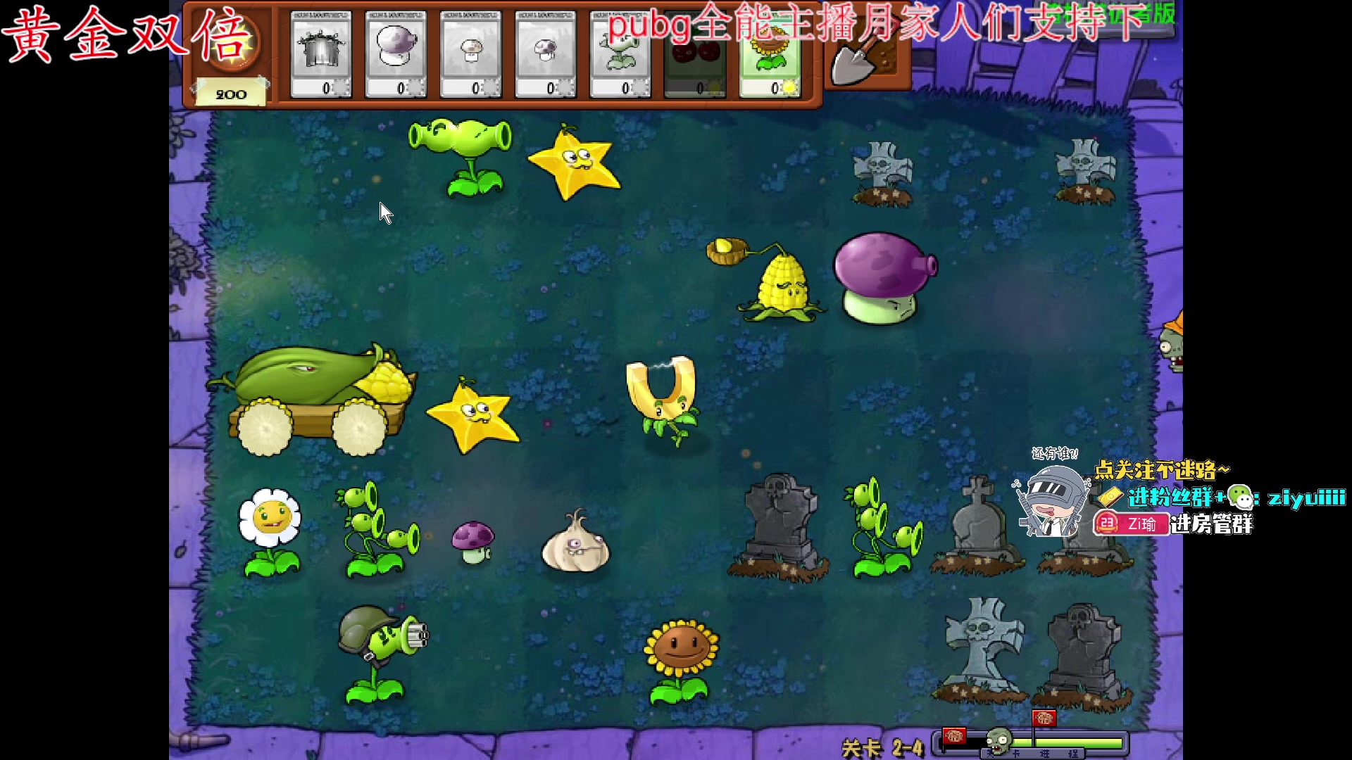 【2023-12-08 15点场】Ziyuii：黄金双倍pubg新图《荣都》