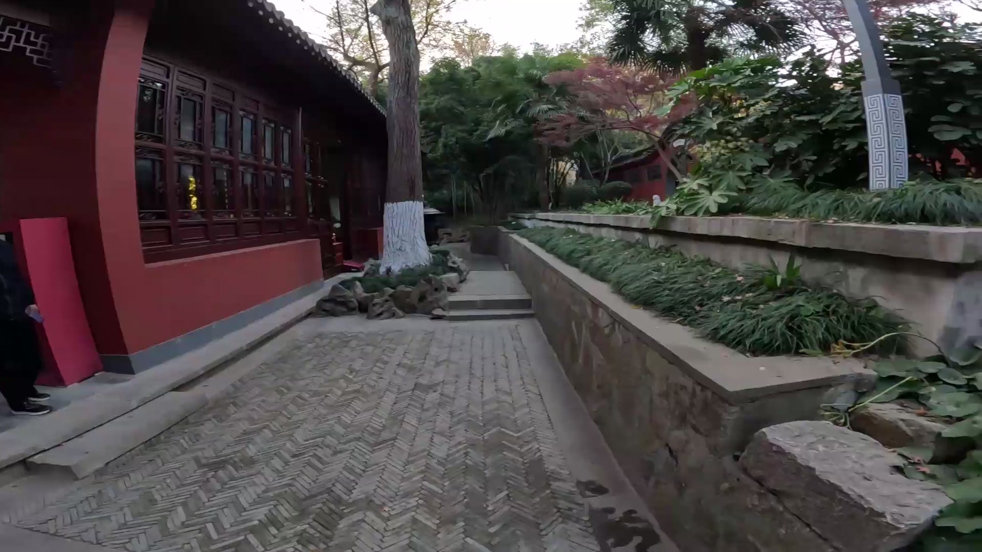 【2023-12-08 15点场】刘灶灶：南京骑行 。。。。。。