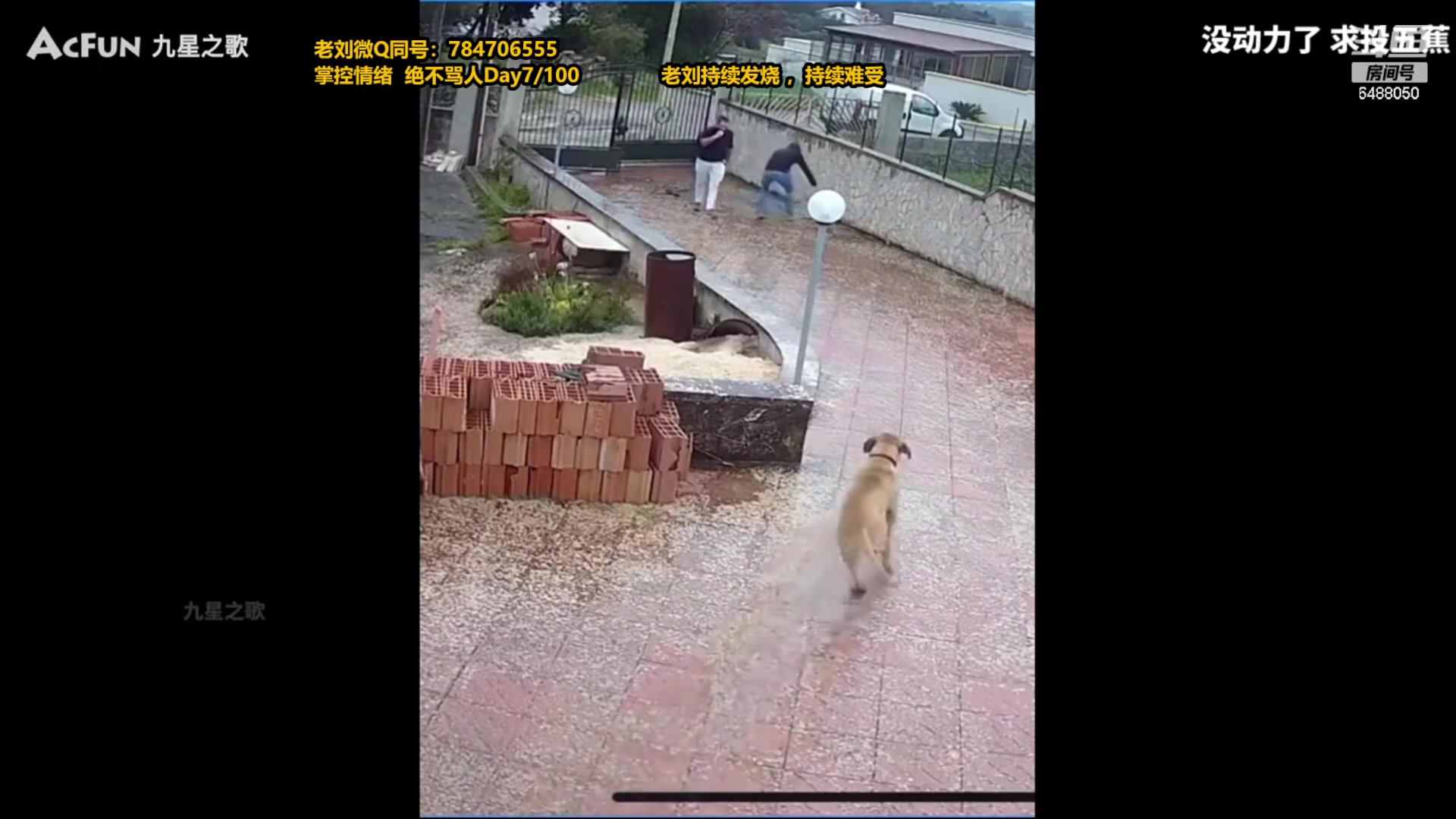 【2023-12-08 09点场】旋转的老刘诺手：新版破舰者诺手 极限1v9！