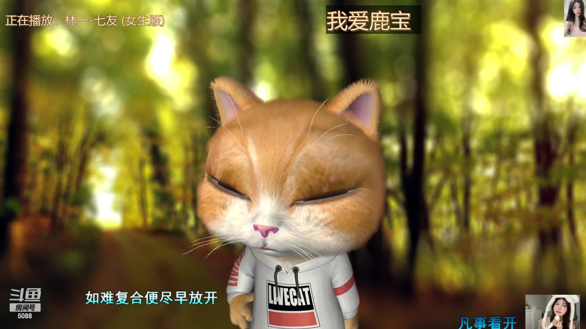 【2023-12-08 15点场】晒网的慧儿呀：首先你要开心 其次都是其次~