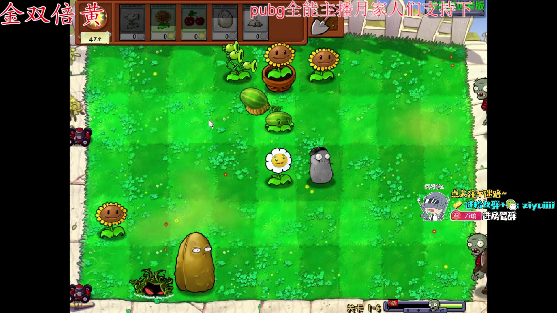 【2023-12-07 23点场】Ziyuii：黄金双倍pubg新图《荣都》