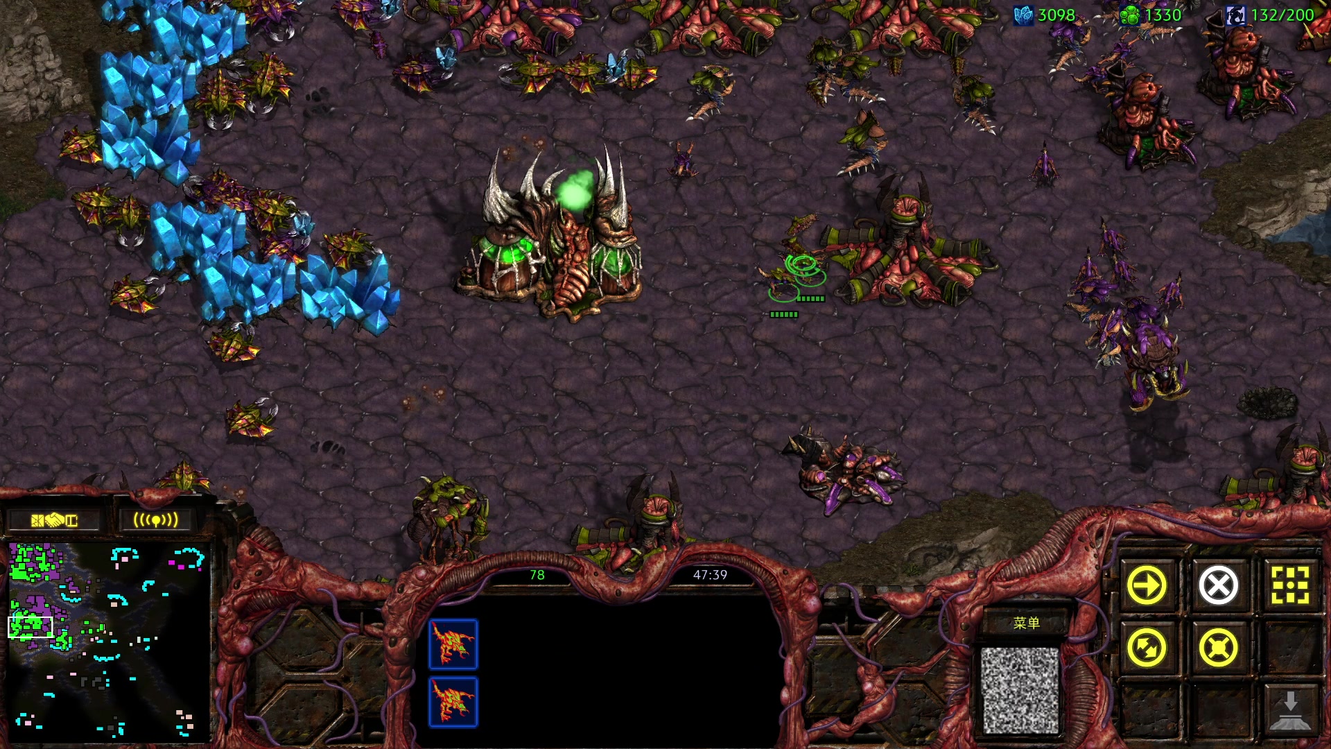 【2023-12-08 04点场】永远的小夜曲：夜曲 佛系佛系