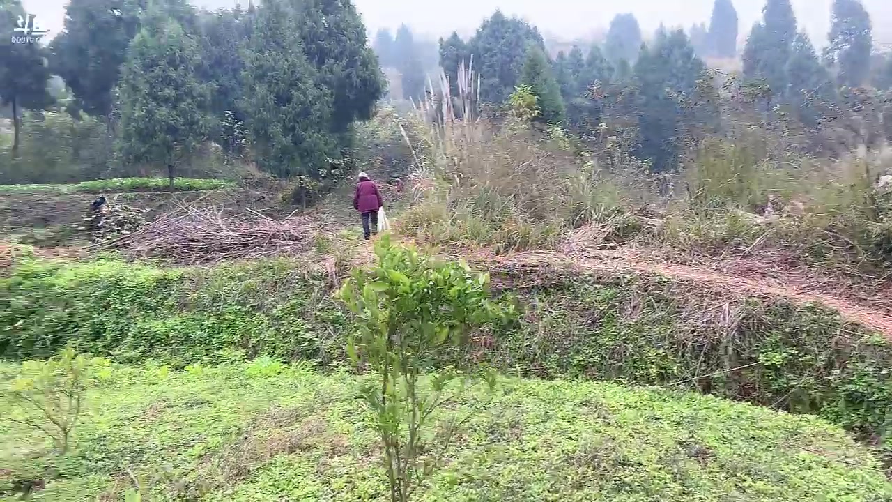 【2023-12-10 14点场】昔恩小姐姐：【小奶团】是谁科三又满昏啦！