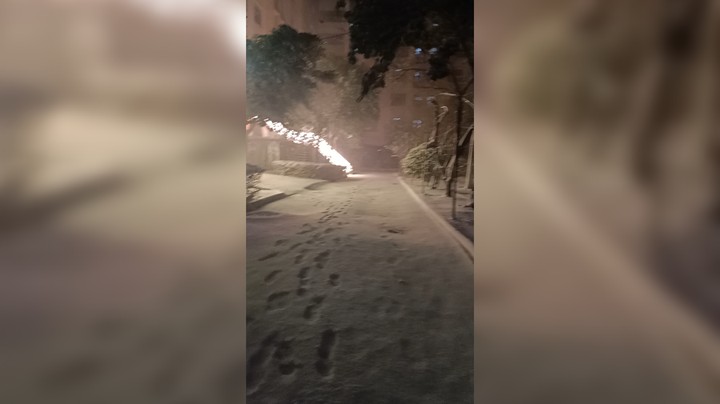 鸭   下大雪啦