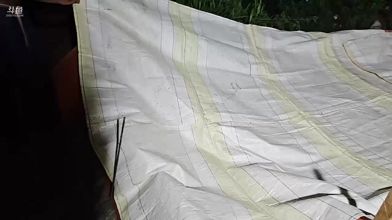 【2023-12-07 02点场】叶子户外：《纪实直播》斯里兰卡day24