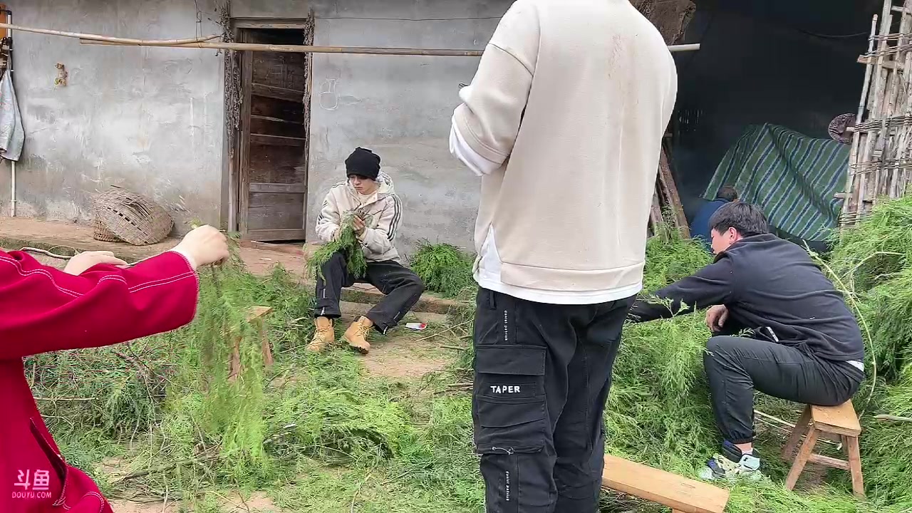 【2023-12-11 10点场】昔恩小姐姐：【小奶团】是谁科三又满昏啦！