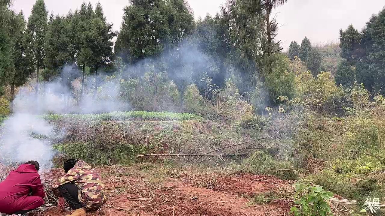 【2023-12-11 14点场】昔恩小姐姐：【小奶团】是谁科三又满昏啦！