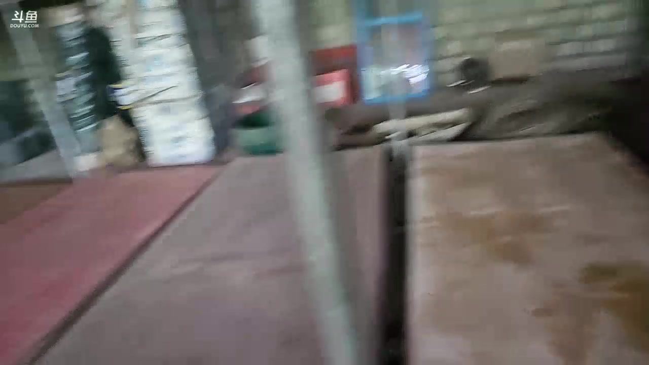 【2023-12-05 12点场】叶子户外：《纪实直播》斯里兰卡day23