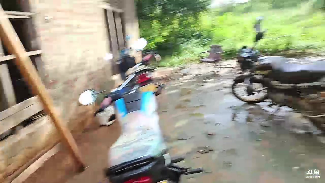 【2023-12-05 10点场】叶子户外：《纪实直播》斯里兰卡day23