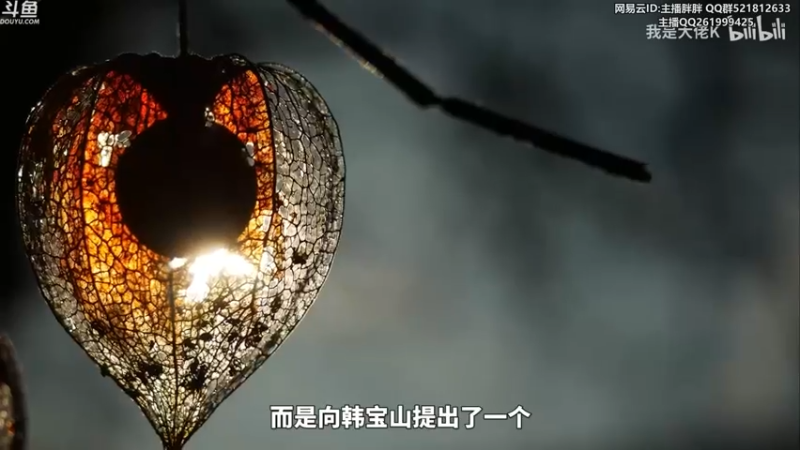 【2023-12-12 03点场】胖胖灬：胖胖OB：WBG强啊，WBG新上单！