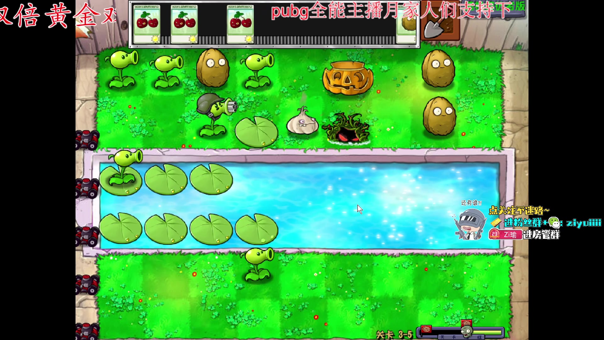 【2023-12-12 17点场】Ziyuii：黄金双倍pubg就是最好玩的游戏