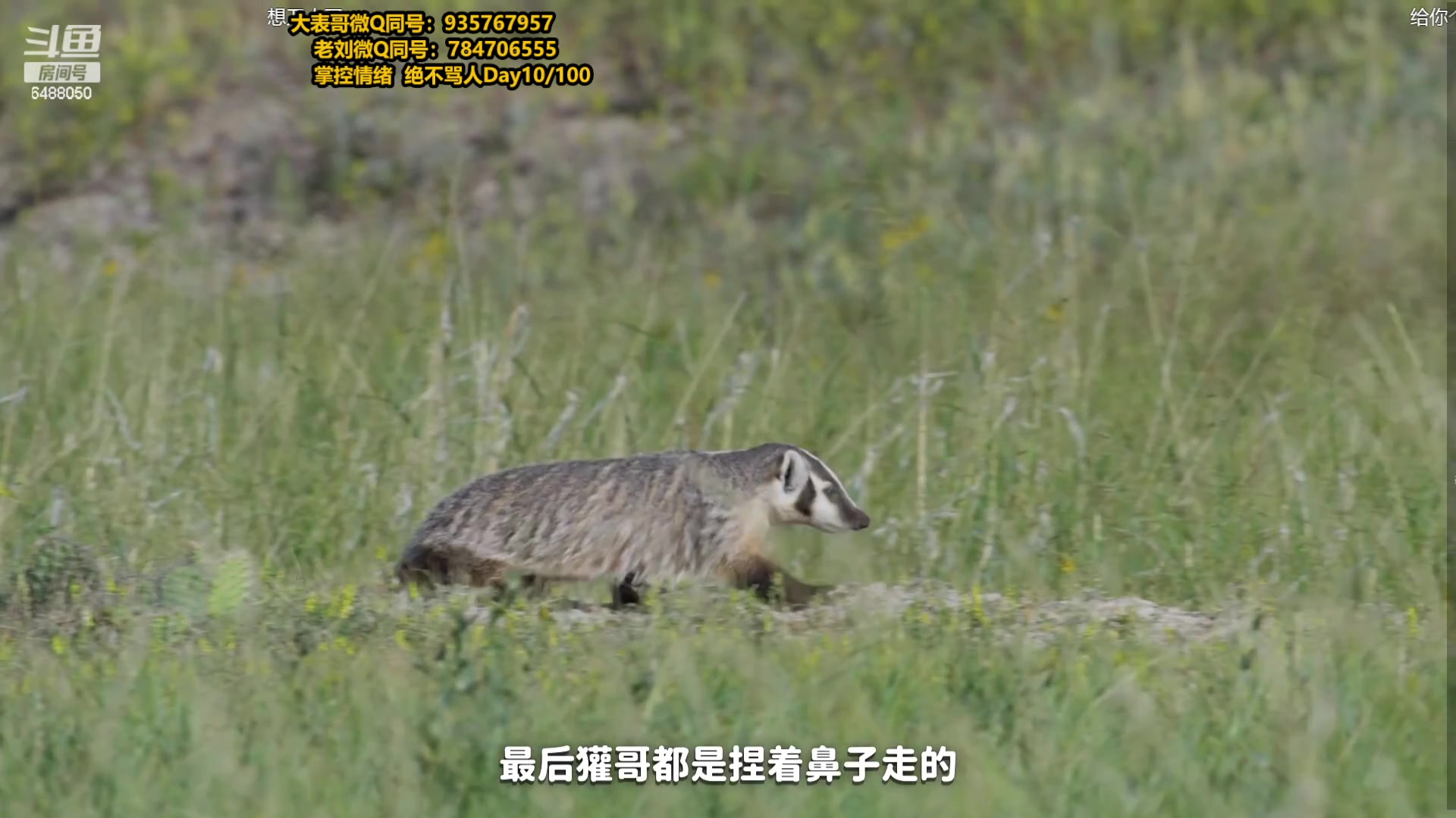 【2023-12-13 00点场】旋转的老刘诺手：新版破舰者诺手 极限1v9！