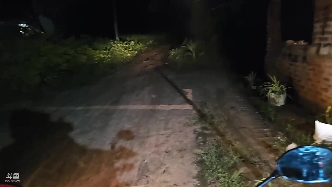 【2023-12-08 23点场】叶子户外：《纪实直播》斯里兰卡day24