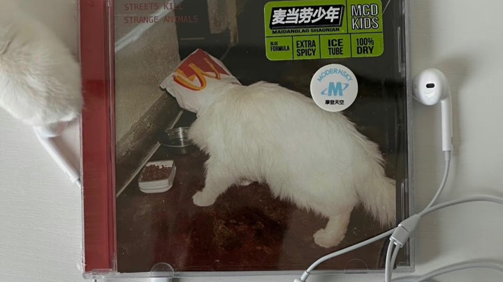 【2023-12-10 14点场】为何敏捷猫:玫瑰到了花期 6106737