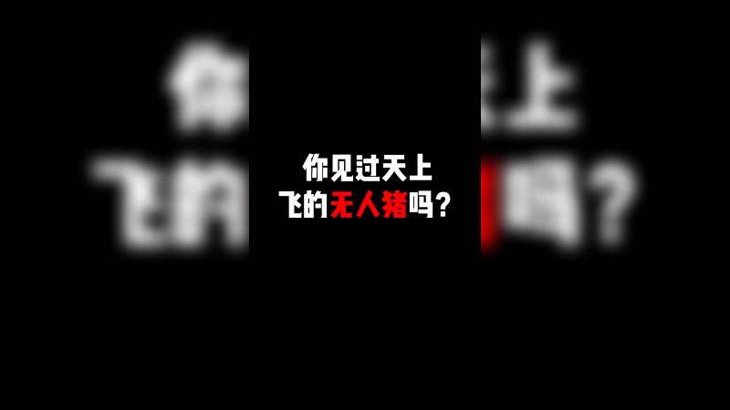 你见过天上飞的无人猪吗？