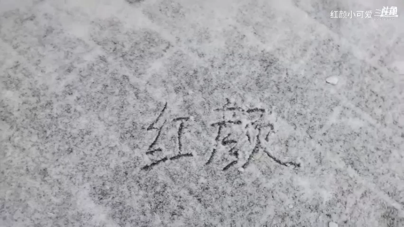 张万森、下雪了……