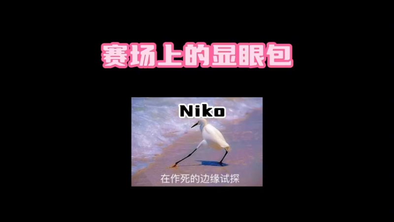 【小樱】niko一失足