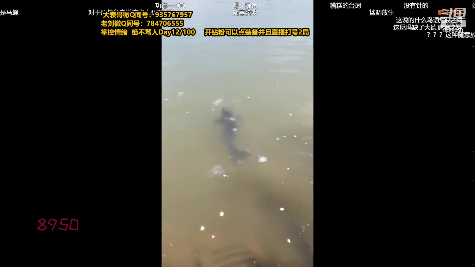【2023-12-15 22点场】旋转的老刘诺手：一刀秒人流诺手 R两千真伤！