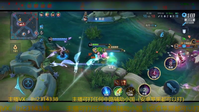 【2023-12-16 20点场】国服老狐狸：国服妲己：进来学技术了