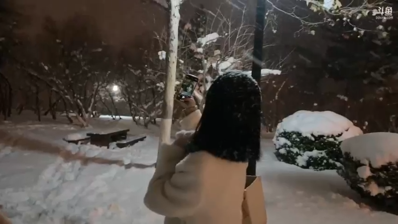 【2023-12-17 17点场】是希文吖丶：先播游戏 后户外