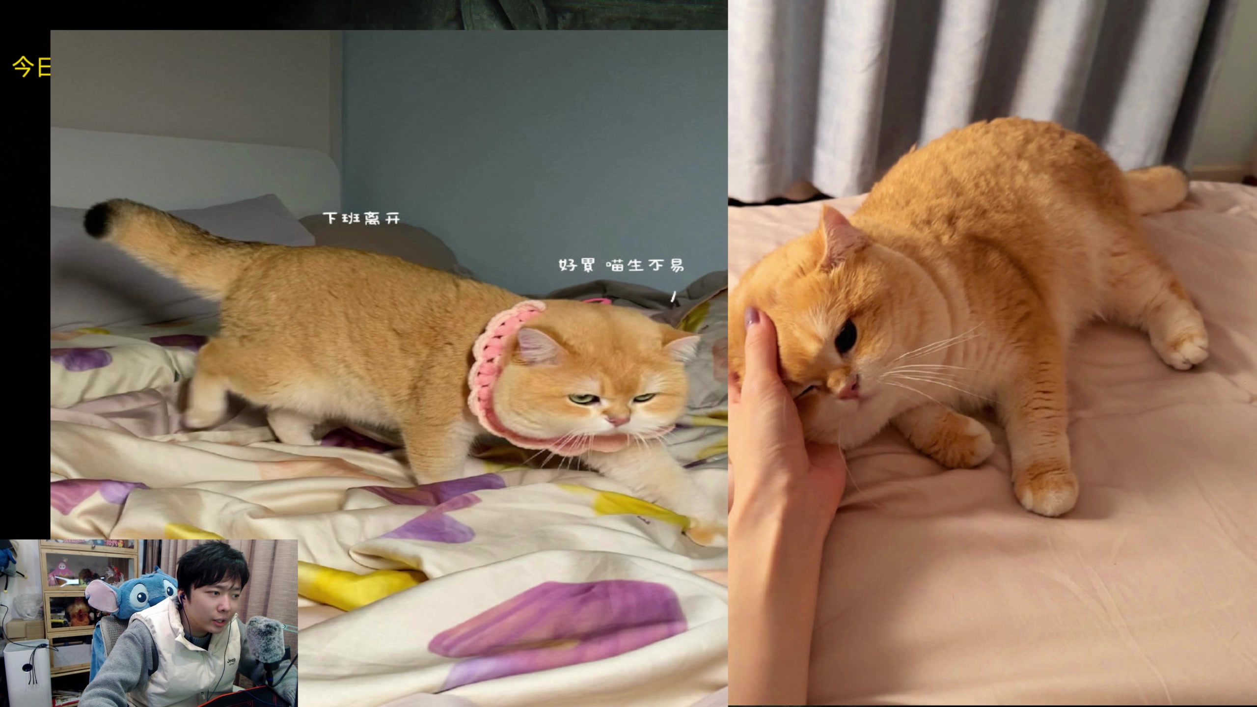 【2023-12-17 00点场】机长YG：【机长】双倍！恐怖游戏直播中！！