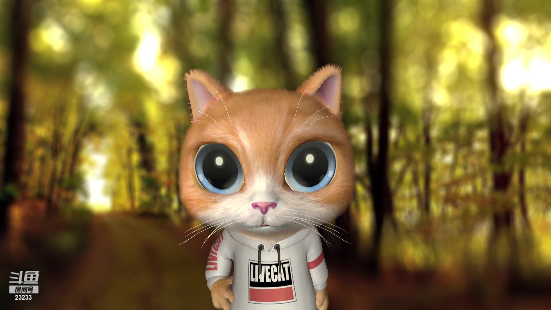 【2023-12-17 00点场】喵小莎：晚上11点来～12.18周年啦！~