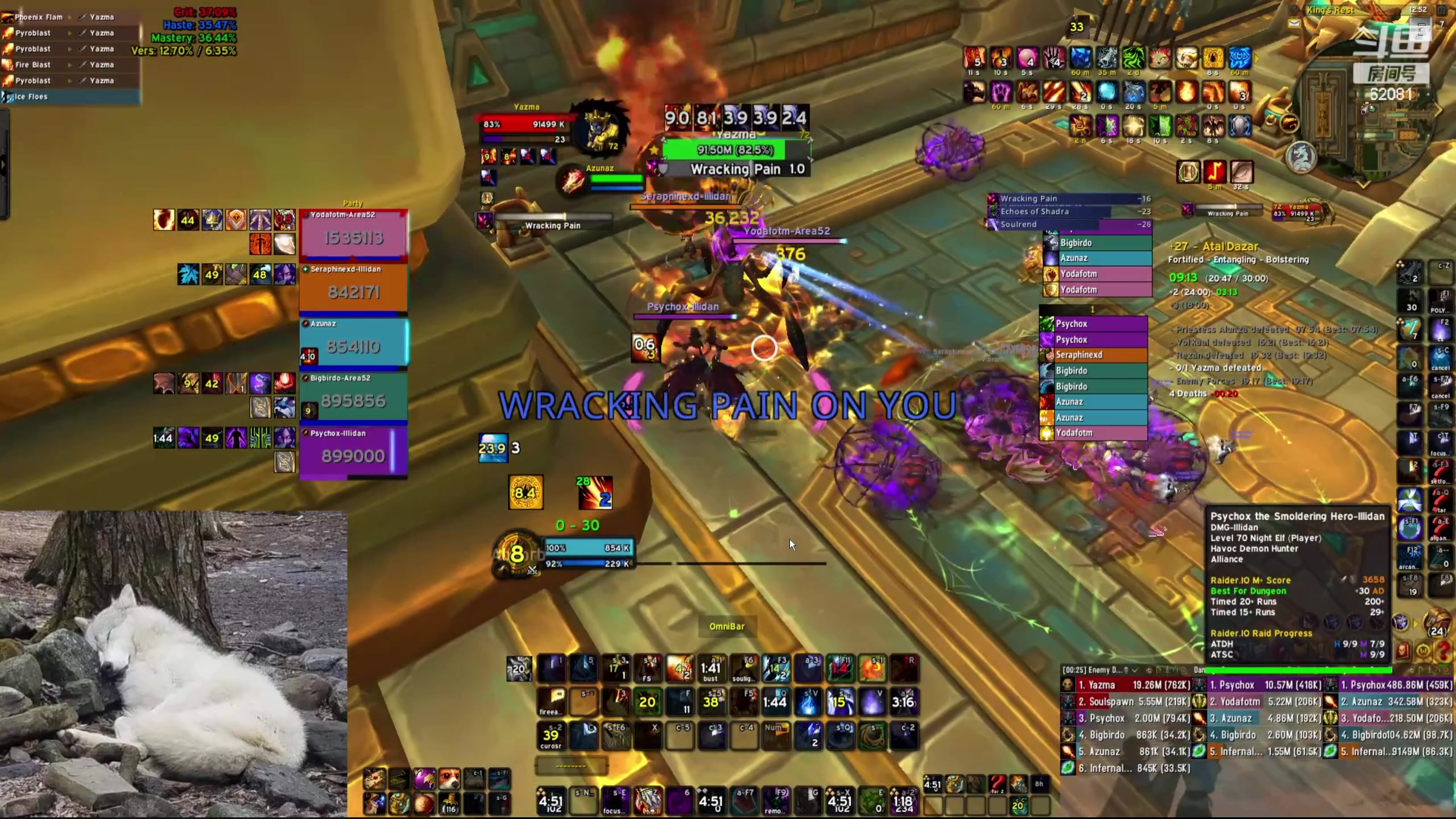 【2023-12-18 16点场】叶落乄初冬：盗贼高层大米