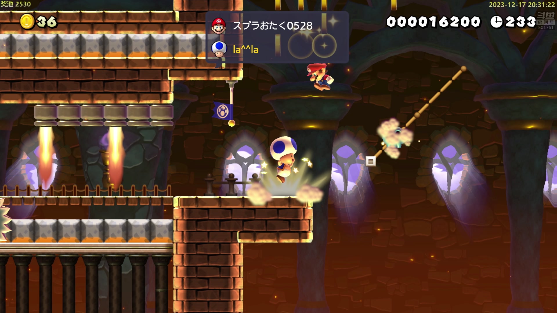 【2023-12-17 19点场】白白的胖胖呀：⭐️白胖白胖 充满希望⭐️