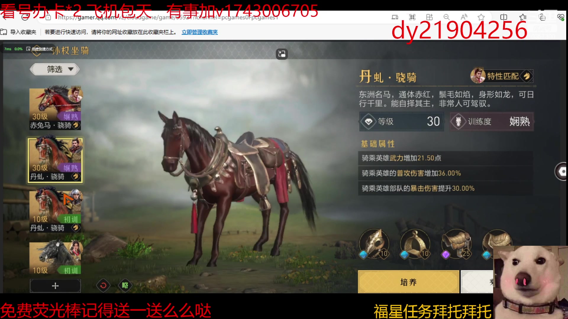 【2023-12-18 13点场】是猫咪吖丶：帝国 么么哒