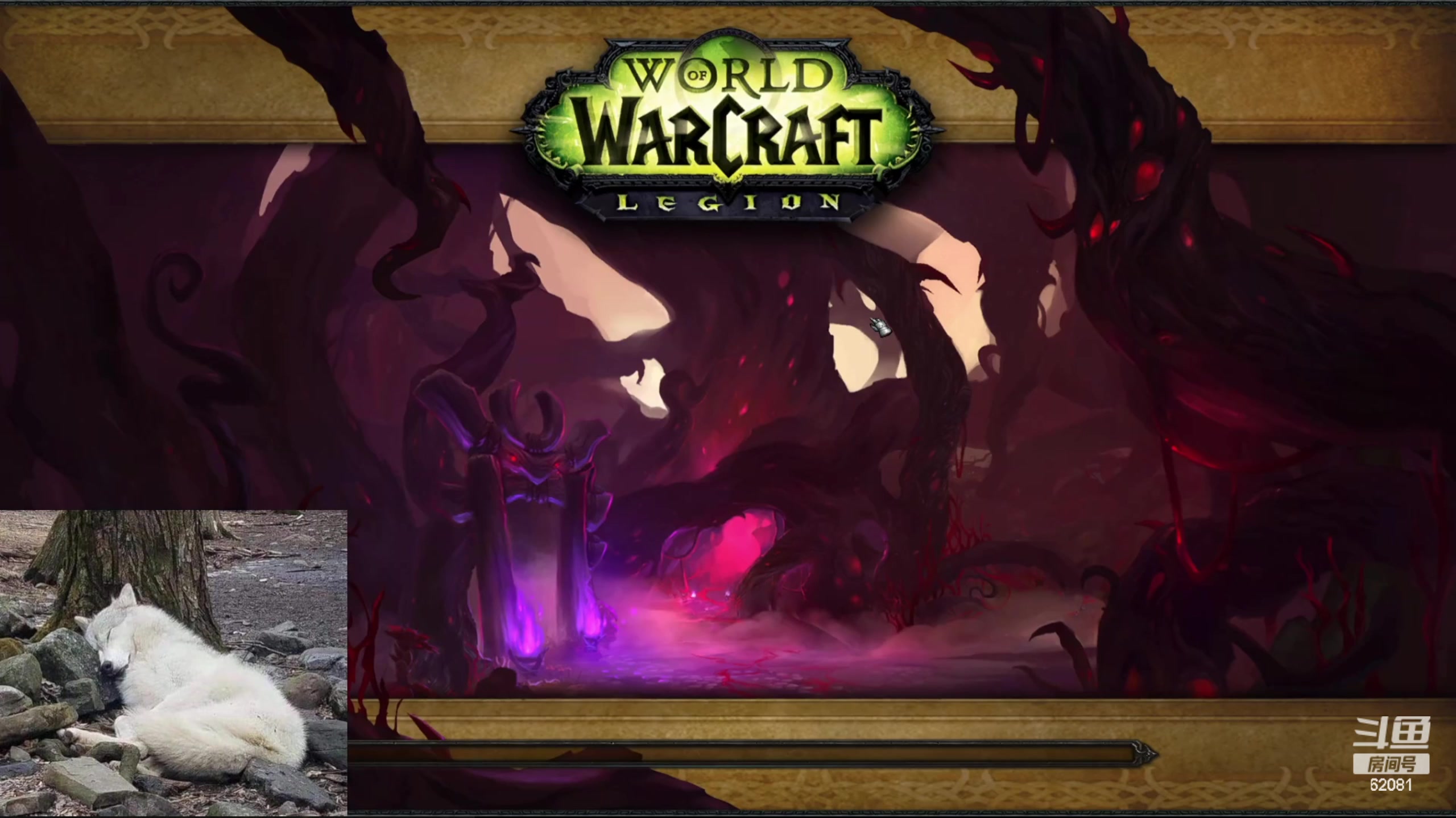 【2023-12-18 17点场】叶落乄初冬：盗贼高层大米