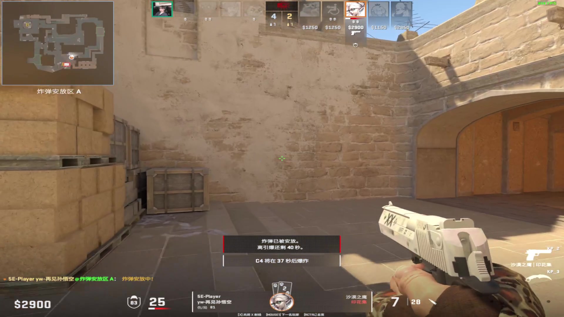 【2023-12-19 18点场】CSGO百岁三：恭喜小蜜蜂！VforVitality!