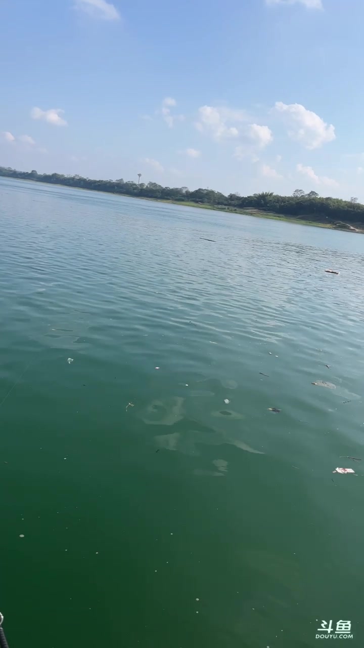 【2023-12-11 14点场】小徐813：双倍亲密度千场6.0选手了解一下