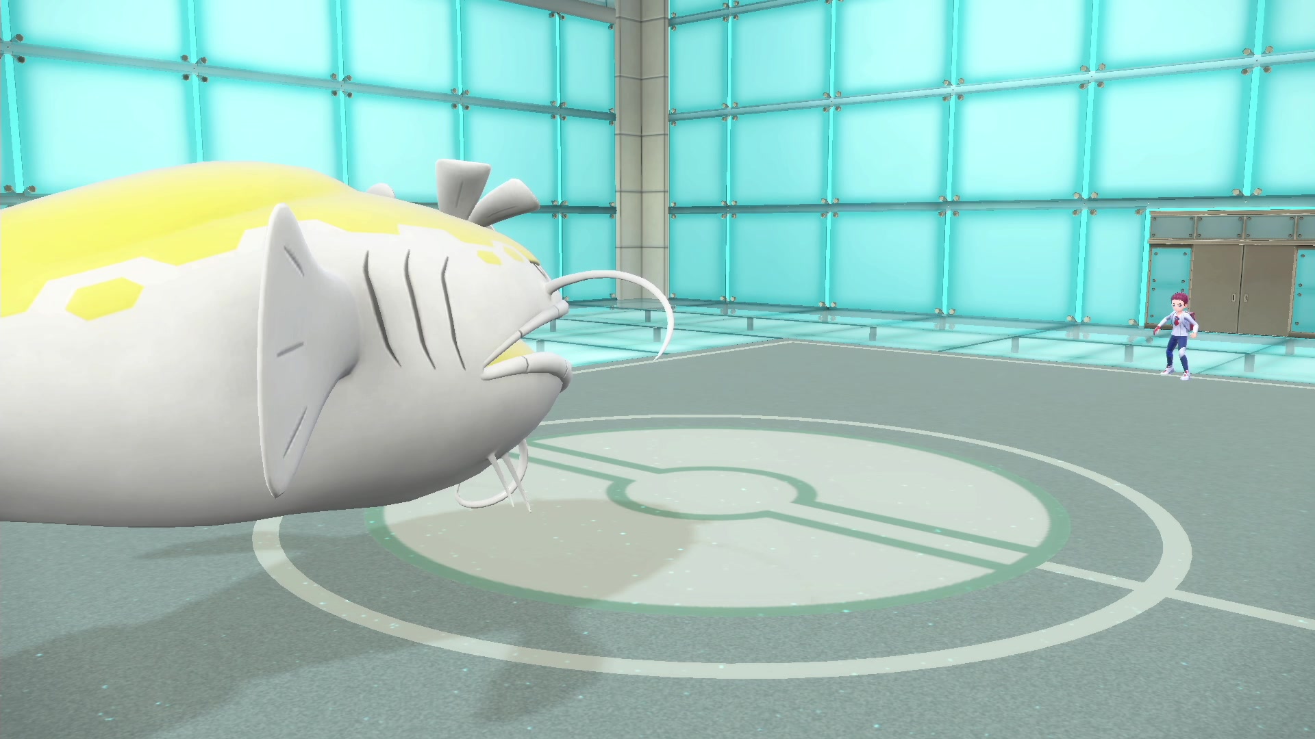 【2023-12-19 03点场】KazeLink：马力欧-Link 技术主播没有GG