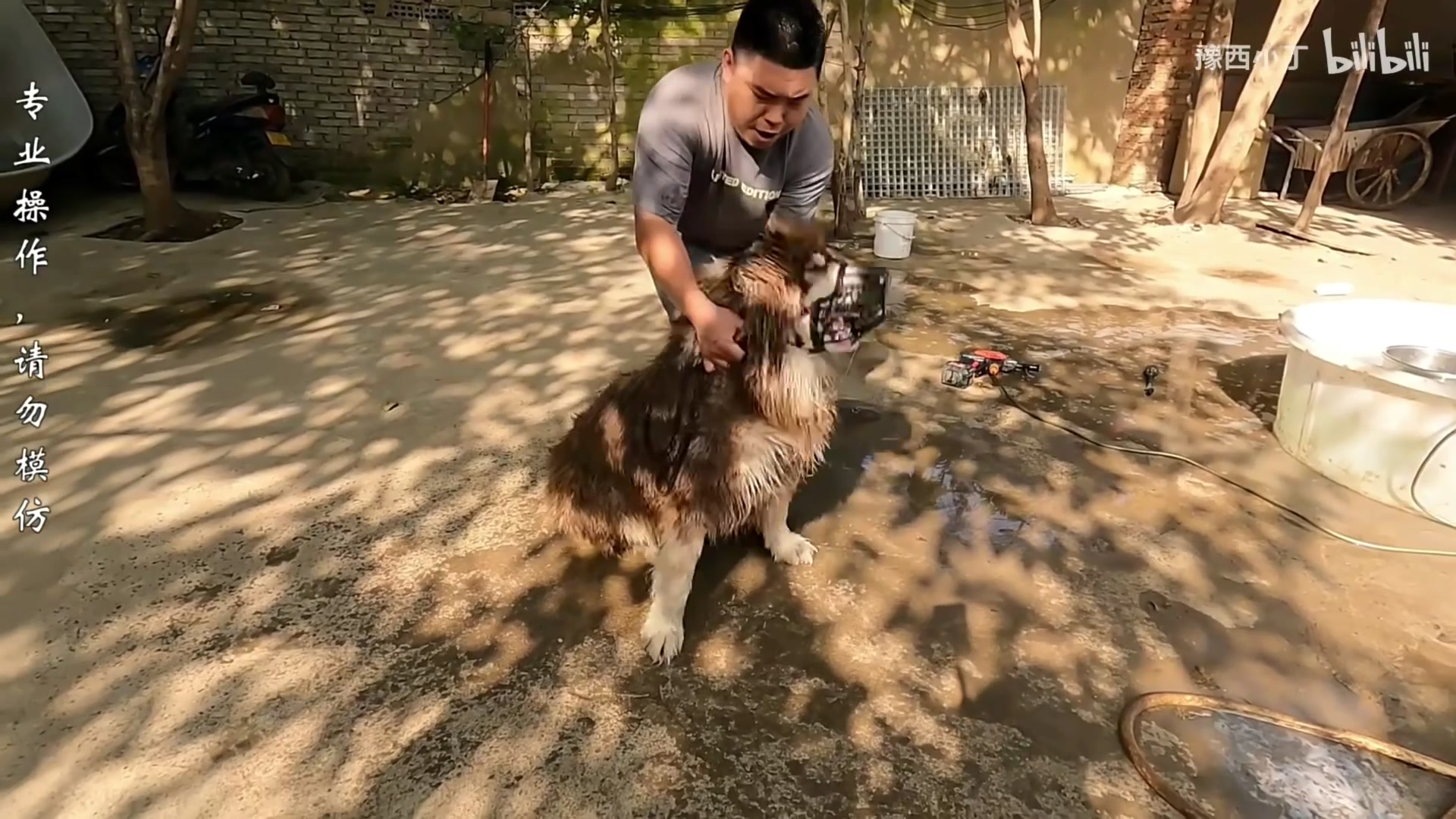 【2023-12-20 22点场】尐表哥：老表：玩着呢！