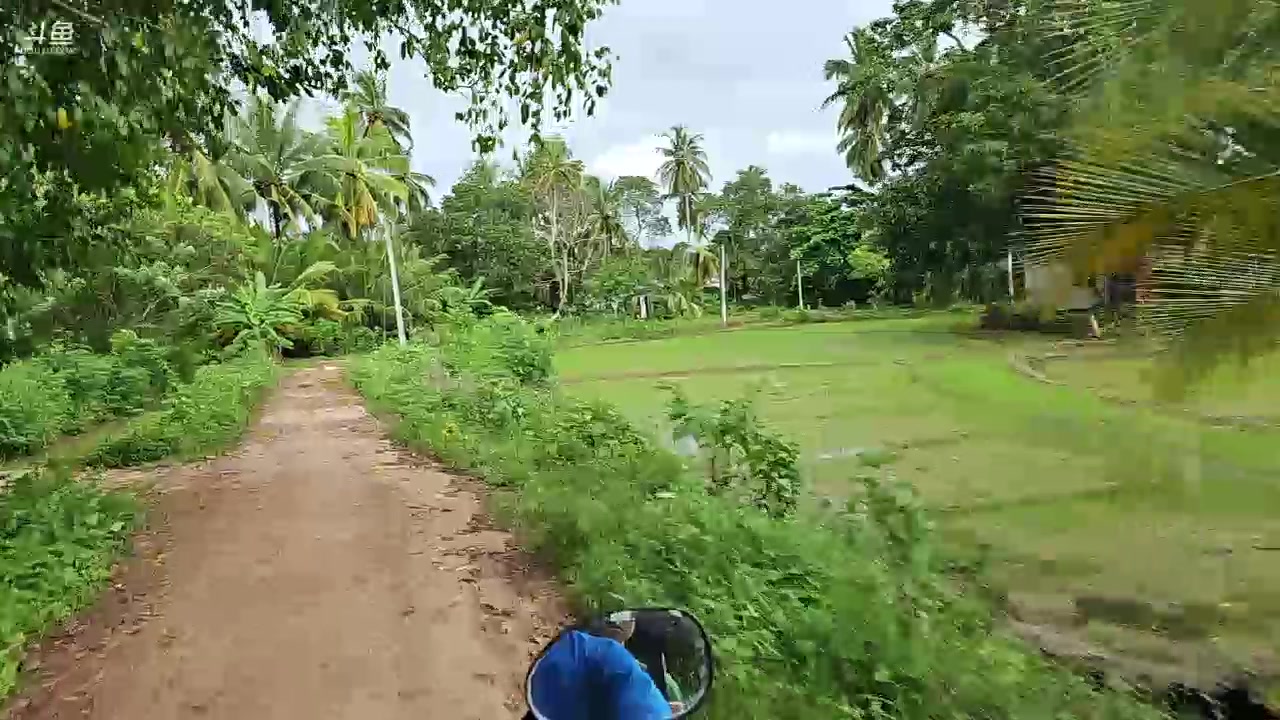 【2023-12-16 15点场】叶子户外：《纪实直播》斯里兰卡day35