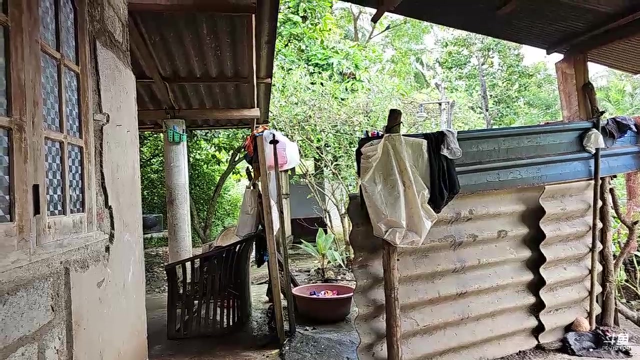 【2023-12-16 17点场】叶子户外：《纪实直播》斯里兰卡day35