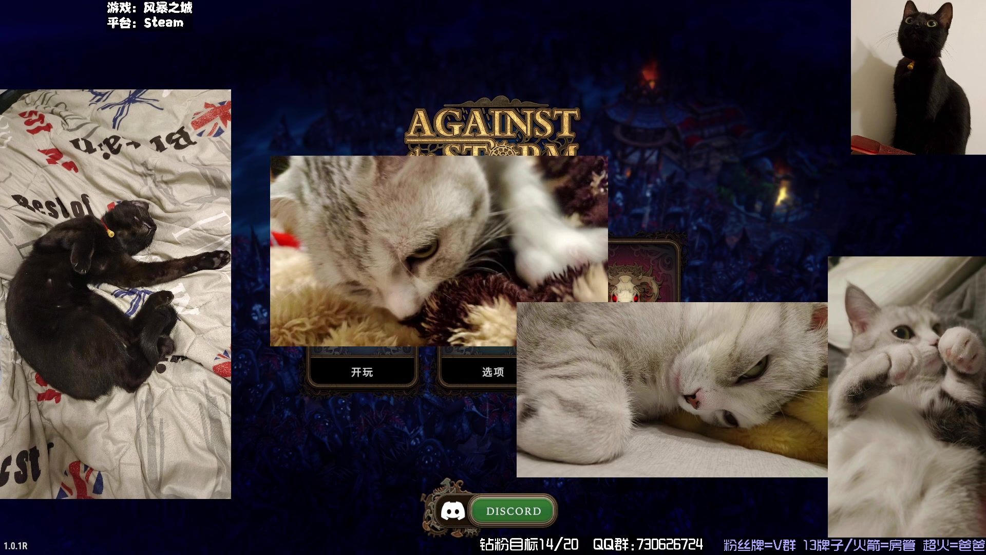 【2023-12-20 18点场】东方不败Athena：东方，喵了个咪~