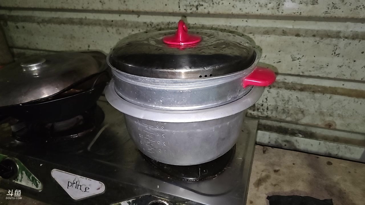 【2023-12-17 00点场】叶子户外：《纪实直播》斯里兰卡day35