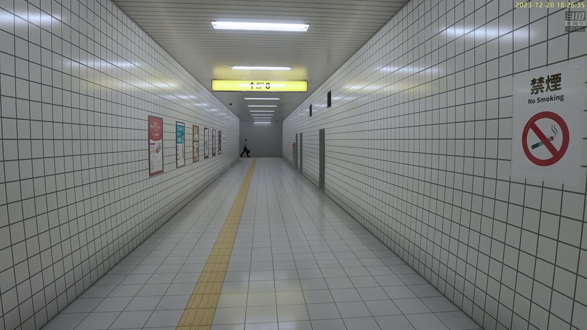 【2023-12-20 17点场】白白的胖胖呀：⭐️白胖白胖 充满希望⭐️