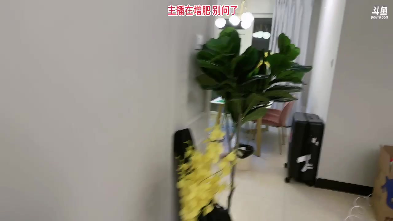 【2023-12-21 19点场】叁三QvQ：今天搬家具体开播看情况～