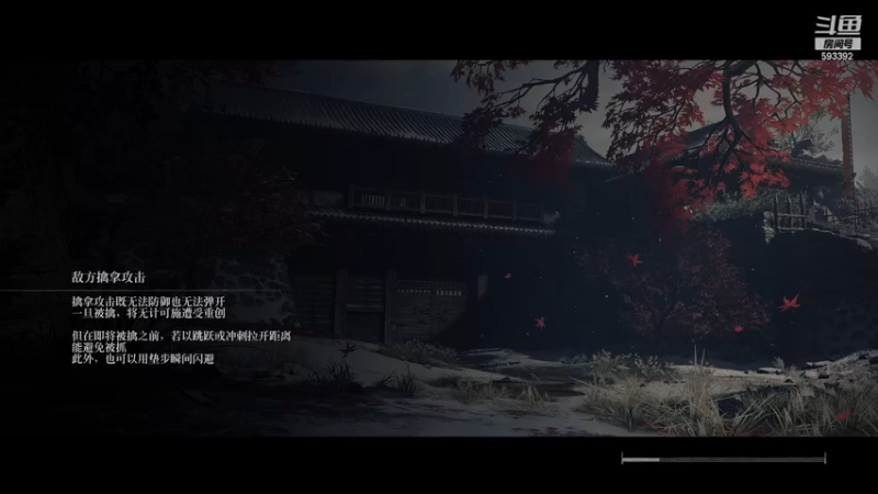 【2023-12-20 23点场】石页的第一根矛s：新人主播，多多关照！ 593392