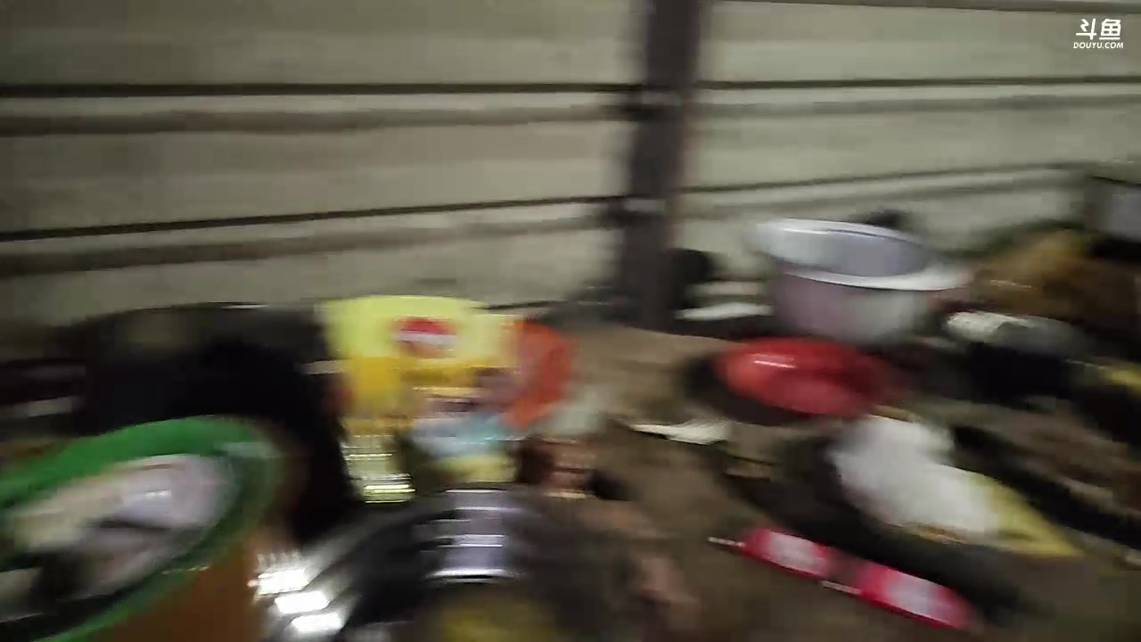 【2023-12-19 21点场】叶子户外：《纪实直播》斯里兰卡day35