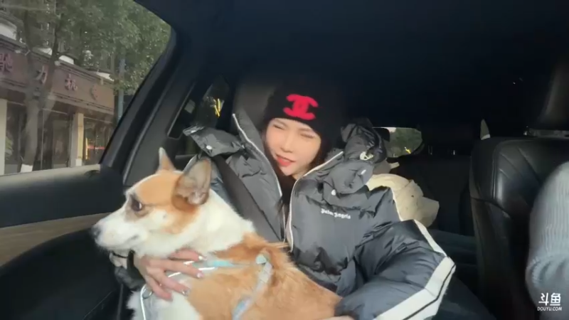 【2023-12-22 17点场】不2不叫周淑怡：淑怡：带着哈哈猪郊游