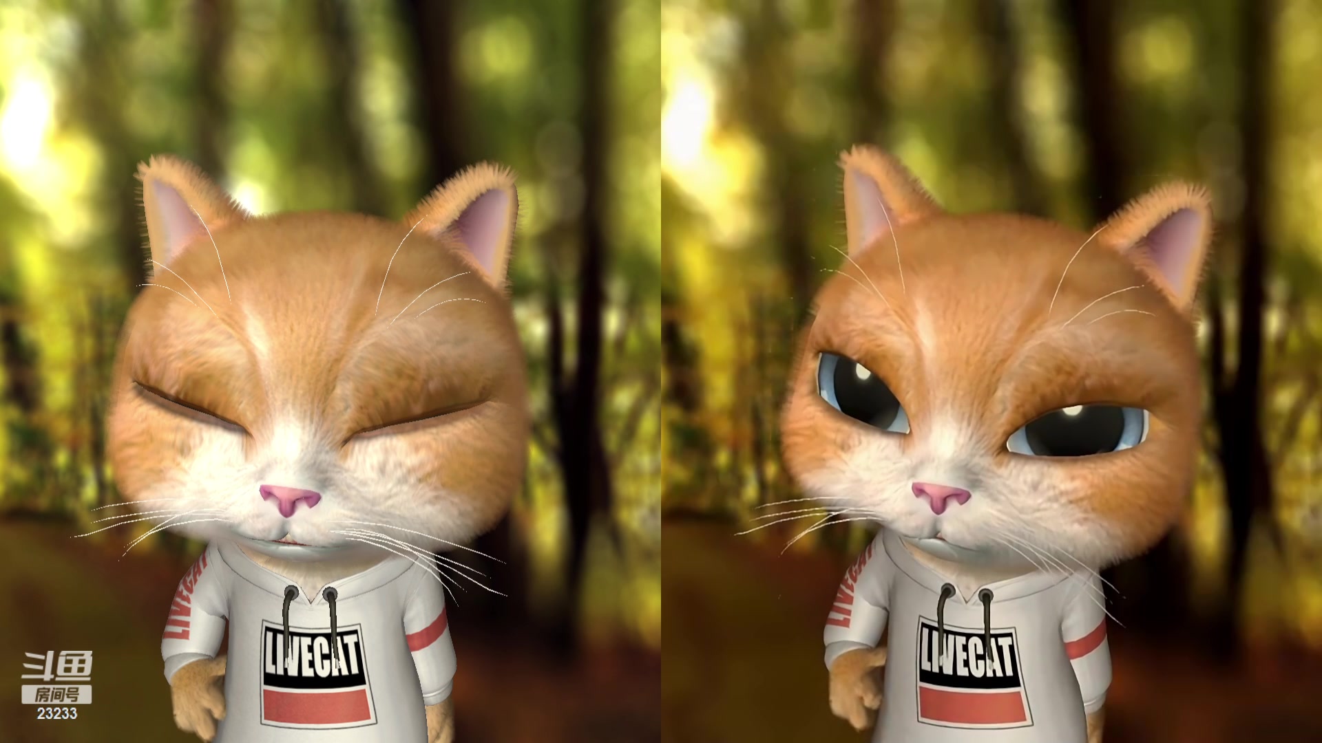 【2023-12-21 23点场】喵小莎：晚上11点来~