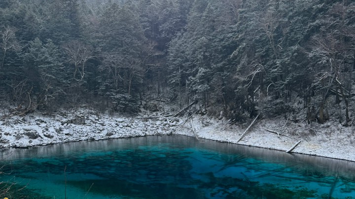 【2023-12-22 0点场】白鲨念旧N9:21号开始稳定直播，兄弟们