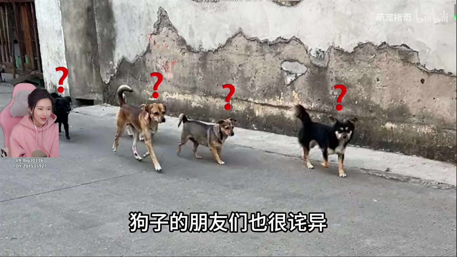 【2023-12-23 12点场】十三三三：⭐十一点前来~~