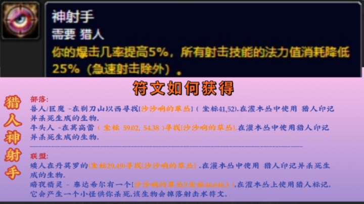 魔兽PLUS猎人符文【神射手】保姆式教材