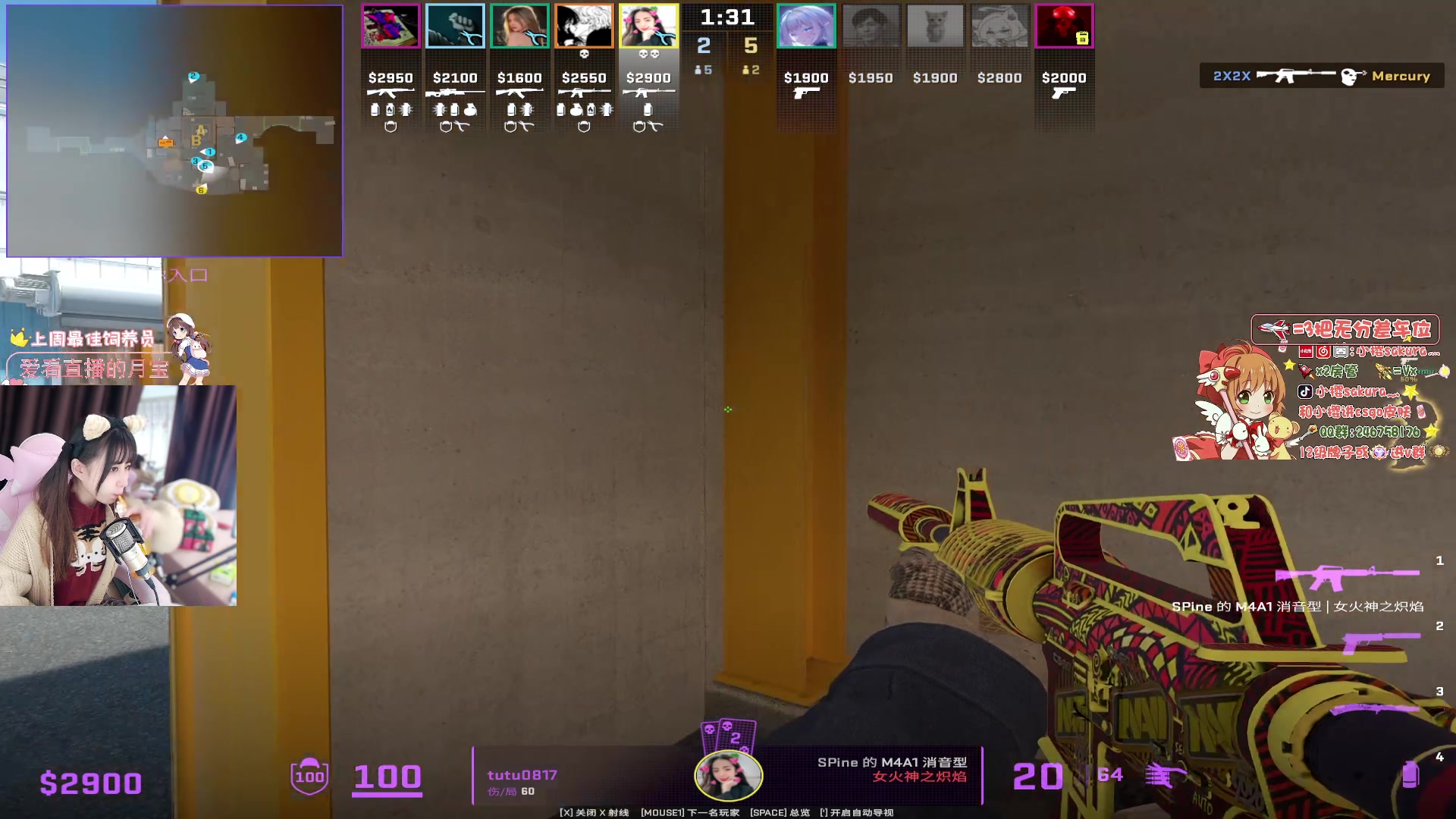 【2023-12-24 19点场】解说小樱sakura灬：【双倍】极限之地 天禄VS牛欢喜